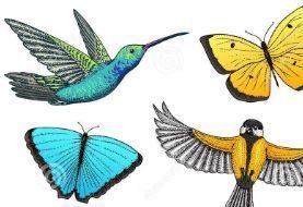 Перфоратори - Животни