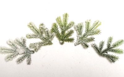 Коледа - Kлонки, елхички, сушени плодове и шишарки