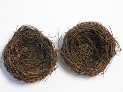 Мини гнездо за декорация - 2 бр. - 8,50 см