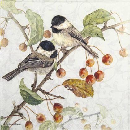 Салфетка Chickadee 13313475