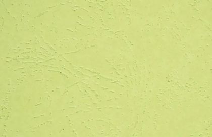 Структурен картон- кожа - мента