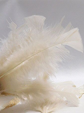 Пера - Бежово - 12-16 бр. - 2 гр.