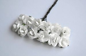 Розички - бяло - 2,00 см