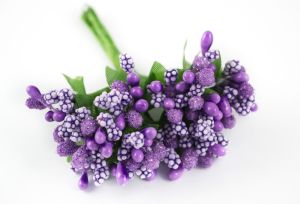 Тичинки - лилави "захарни"