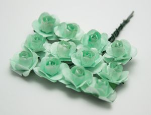 Розички - ментово зелени