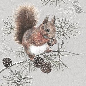 Салфетка Squirrel In Winter 33313445