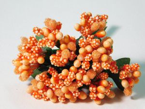 Тичинки - Тъмно оранжево- " захарни " 