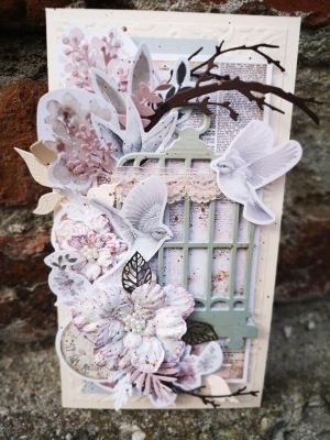 Кафези - 5 бр