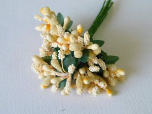 Тичинки - Бледо оранжево - "захарни"