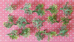 Клончета - 15 бр.