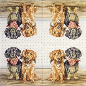 Салфетка Dachshund 12513935