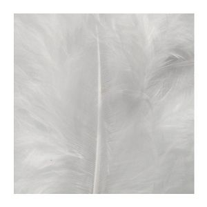 Пера - Бяло - 10-17 см - 10 бр.