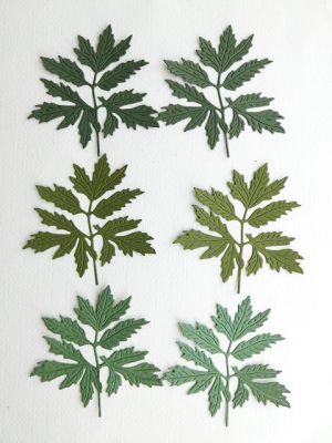 Листа -  6 бр.