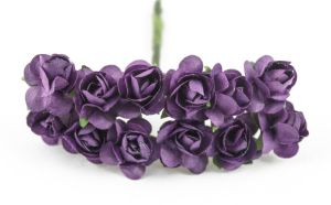 Розички - Ирис  лилаво