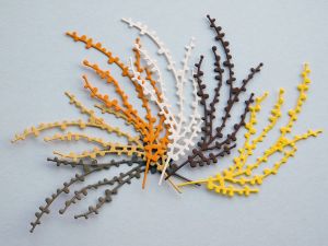 Клонки Жълт Микс - 6 бр.