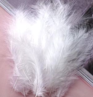 Пера - Бяло - 10-17 см - 10 бр.