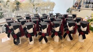 Пискюл Бордо - 1бр.