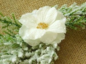 Ледени кристали - 35 гр.