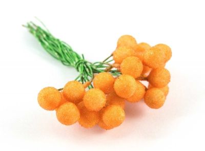 Тичинки и плодове