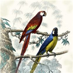 Салфетка 1332715