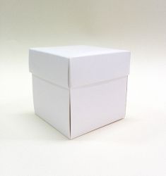 Заготовки за експлоадиращи кутии - 2 бр.- Бяло