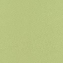 Картон - Verduzzo  ( Tiziano )