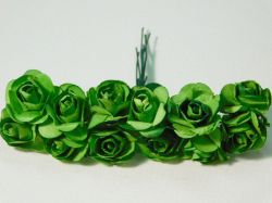 Розички - Папрат зелено