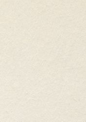 Бирен картон - 29.6 х 21см.- 1,00 мм