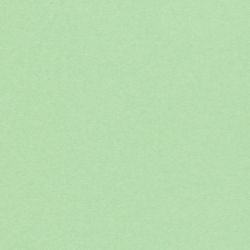 Картон - Spring Green / Olin / -A4 - 240 g/m²