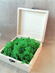 Скандинавски еленски мъх - Светло тревисто №27 - 50 гр.