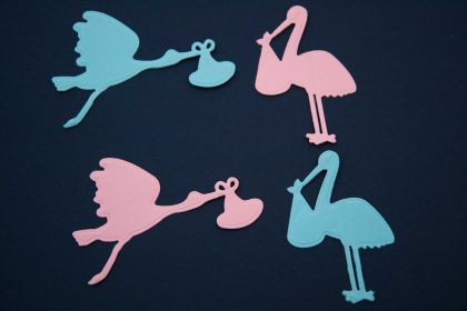 Щъркели - 4бр.