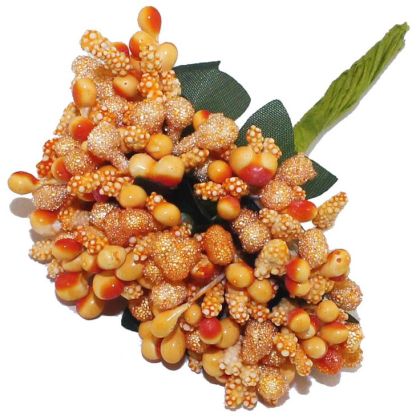 Тичинки - Оранжеви "захарни"