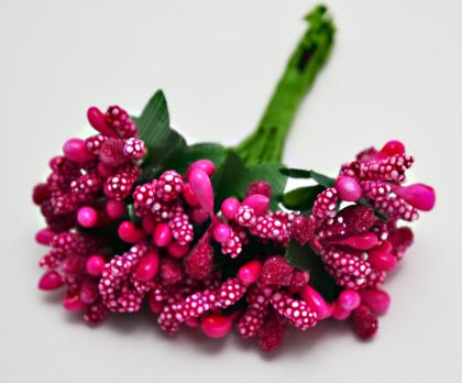 Тичинки - циклама "захарни"