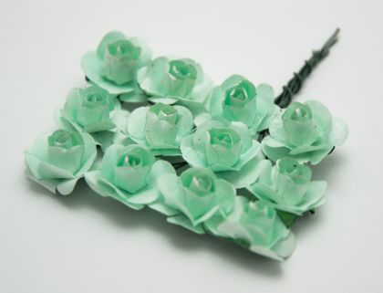 Розички - ментово зелени