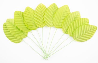 Листа - лайм- 10бр.