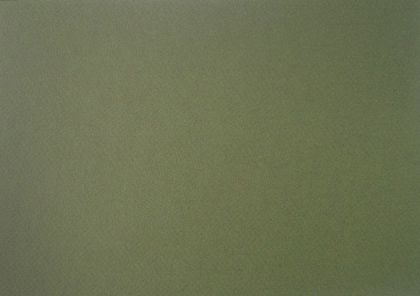 Картон - Цейлон тревисто зелено