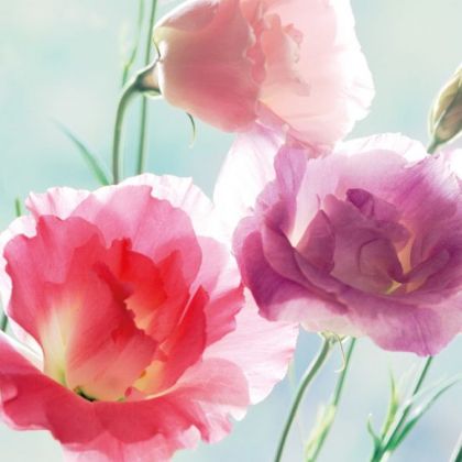 Салфетка 1332781