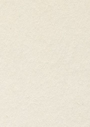 Бирен картон - 29.6 х 21см.