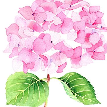Салфетка Hydrangea rosé 1333260