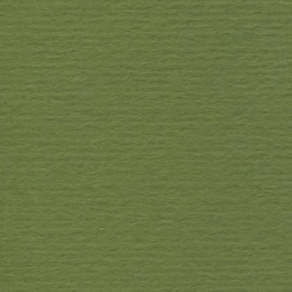 Картон - Oliva ( Murillo )