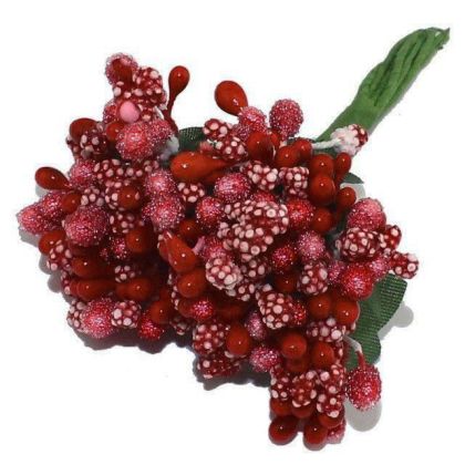 Тичинки - Червени - " захарни "