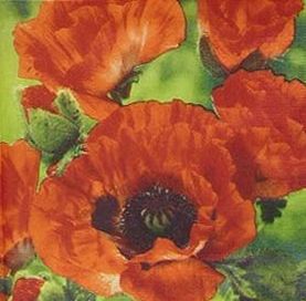 Салфетка Poppy Garden 007356