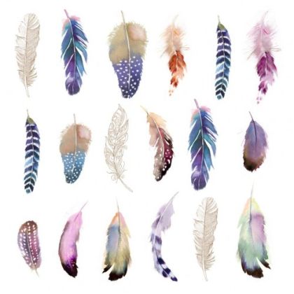 Салфетки - FEATHERS FANTASY 1333002