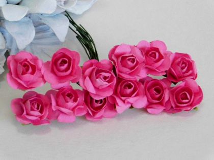 Розички - Наситена циклама