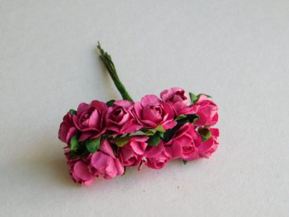 Розички - Циклама мини -1,00 см