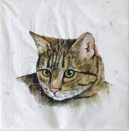 Салфетка FARMFRIENDS CAT 860100