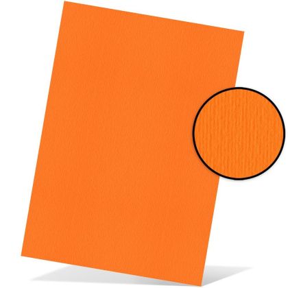 Картон - Aragosta ( Elle Erre )