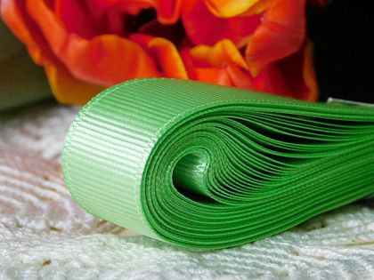 Панделка рипс - Мента зелено  - 10 м №69