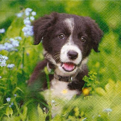 Салфетка MY BEST FRIEND 21774