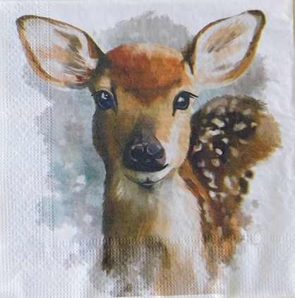 Салфетка DNP 103